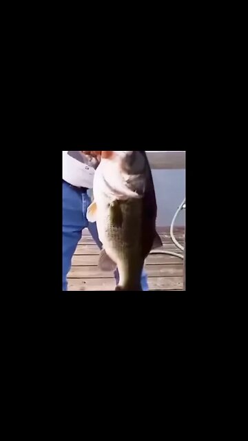 Bass Fishing - NO POLE! #shorts #fishing #bass