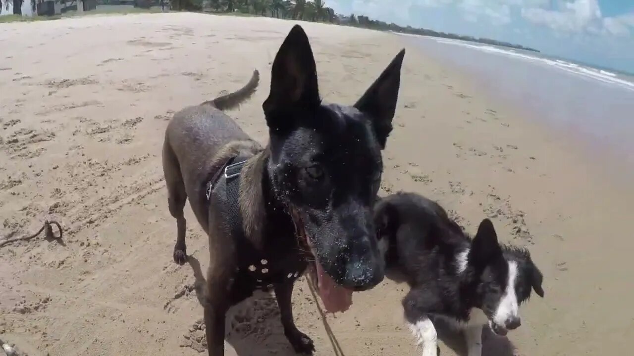 LARI ( 'in memo') & ß Ø ¥ Å na PRAIA : TROMBADA