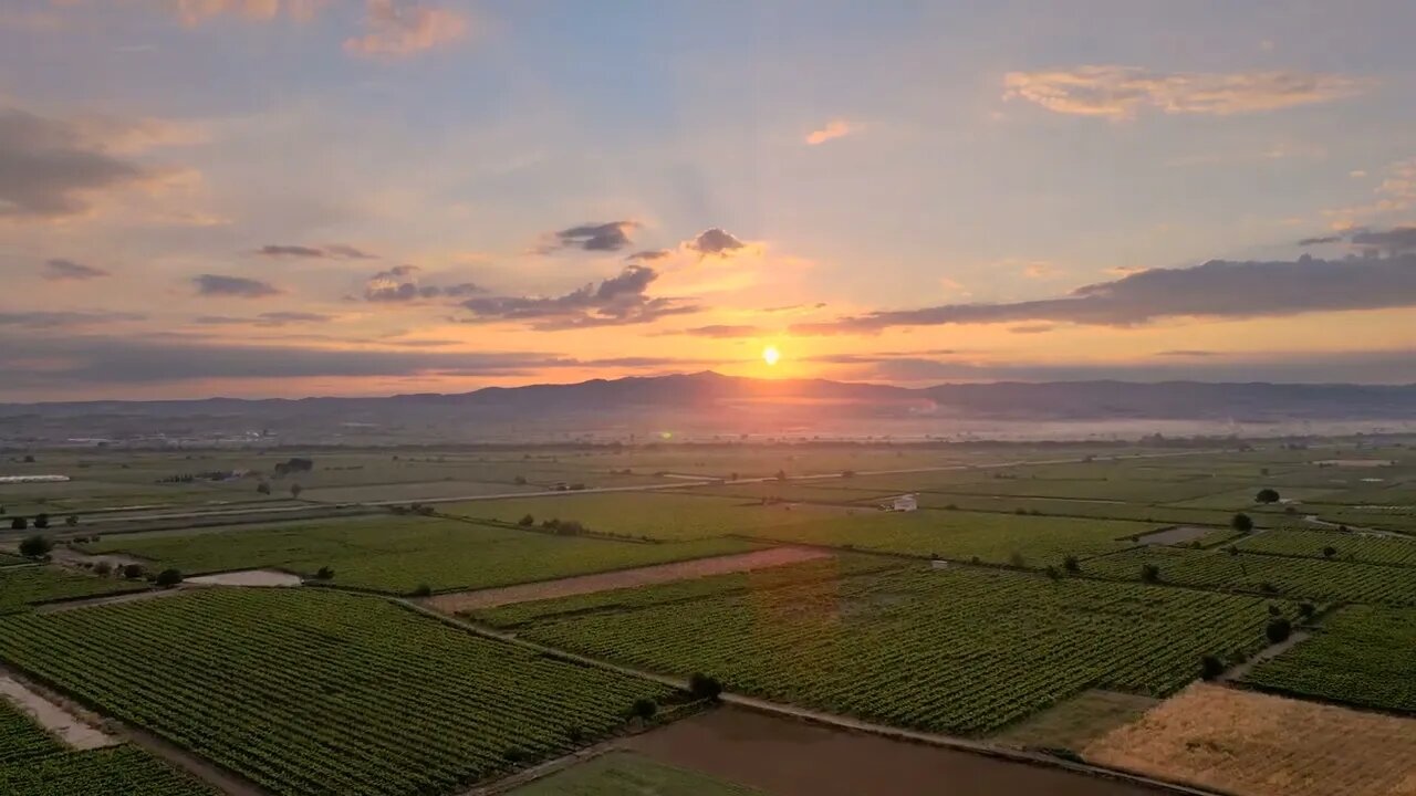 Alvorecer I Área rural I Brilho do sol I Campo I Luz solar I Nascer do sol I Paisagem I Drone I 4K