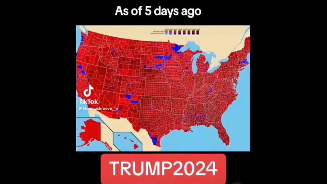 2024 Presidential election early vote looks like this America 🇺🇸