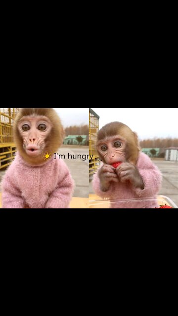 Red strawberries are the baby's favorite