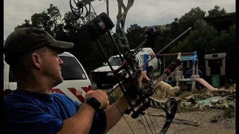 Shooting a Coors Silver Bullet at 60 yards with my Diamond Deadeye Bow