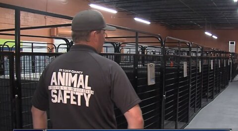 Inside look at temporary animal shelter