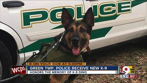 Green Township receives new K-9 after police dog Dino dies in line of duty