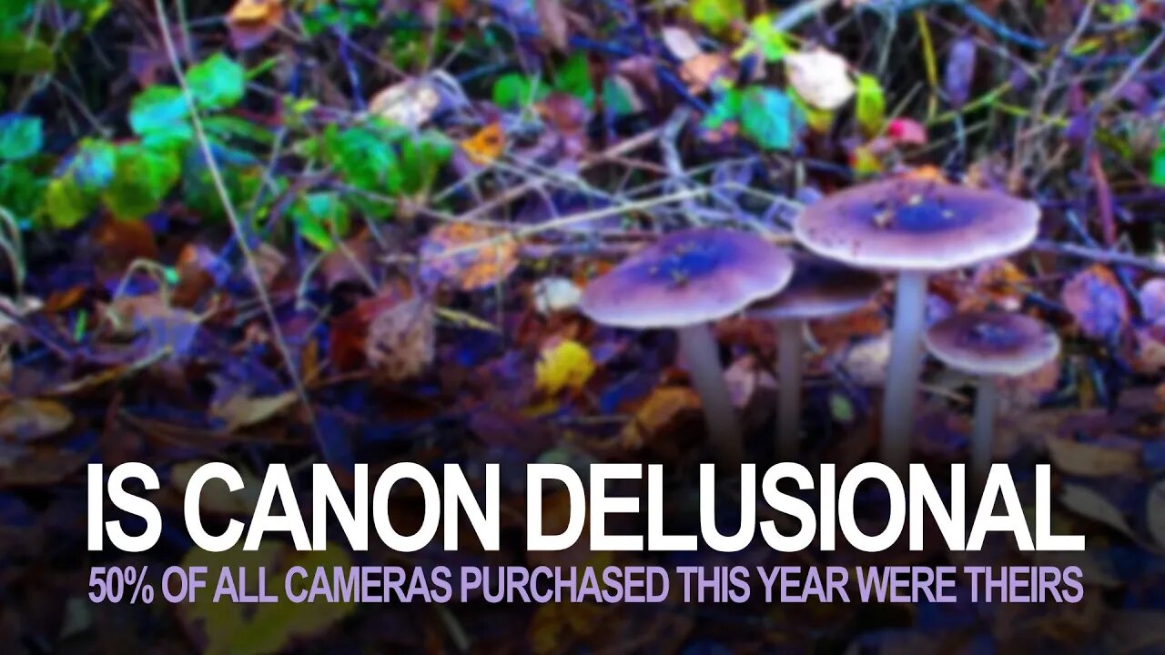 Is Canon Delusional? 50% Of Cameras Sold This Year Are Canon