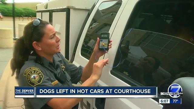 Dogs left in hot cars at courthouse