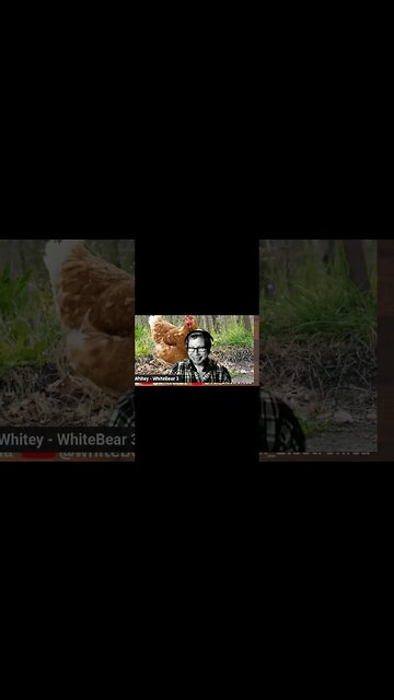 The Wife Scolding Part 2 #shorts #wife #marriage #yelling