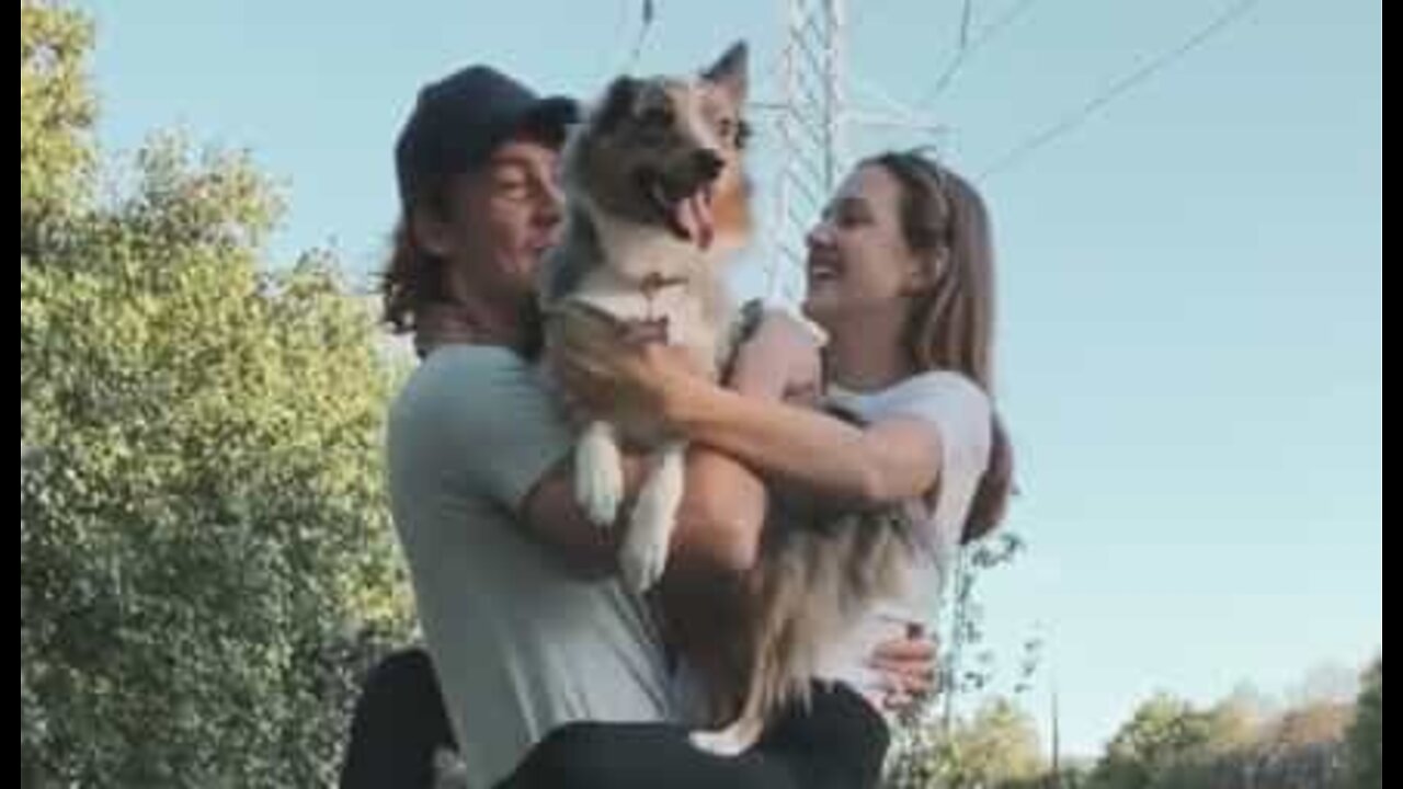 Dog is so jealous of owner's girlfriend!