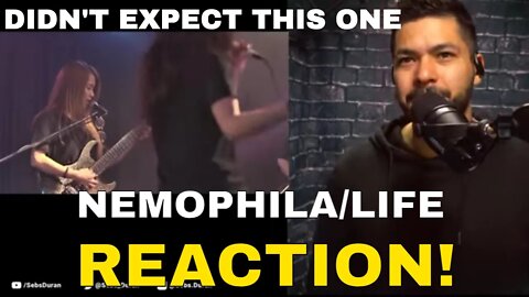 NEMOPHILA/Life Live (Reaction!) | after the first song, didn't expect this one