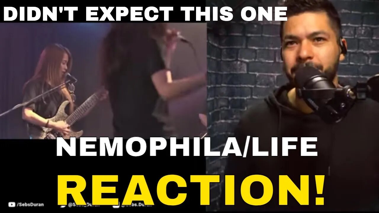 NEMOPHILA/Life Live (Reaction!) | after the first song, didn't expect this one