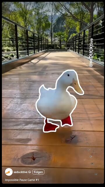 Impossible Pause Game 1