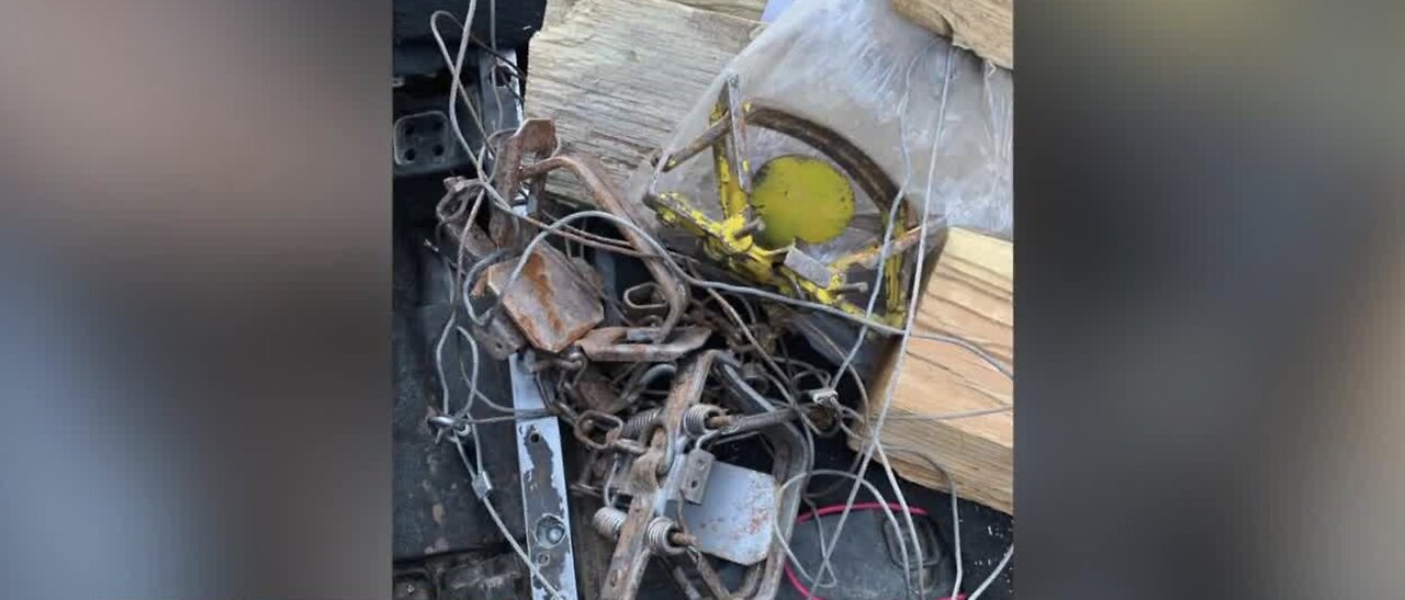 Traps found near Red Rock causing social media stir