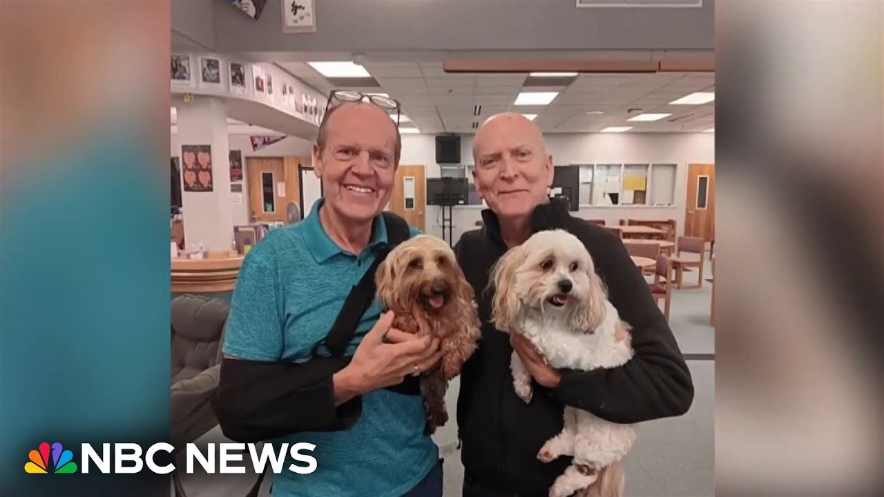 Alaska couple who survived landslide reunited with dogs after miraculous rescue