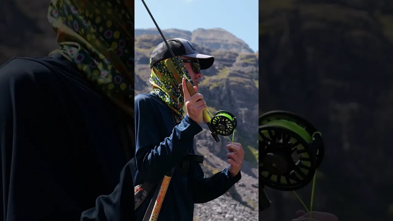 A week of Fishing the Rocky Mountains! New Film is out now. #shorts #fishing #flyfishing