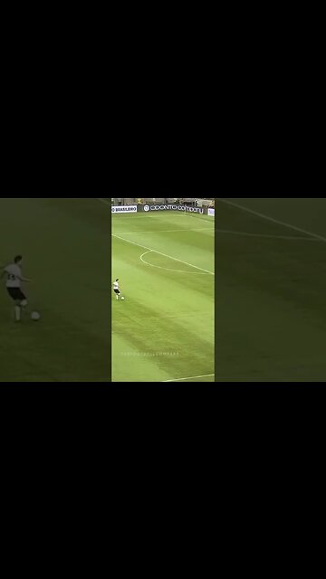 Segovinha é Craque.🔥🔥 #botafogo #brasileirão