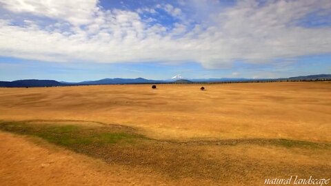 Oregon is the most beautiful state in the United States 6