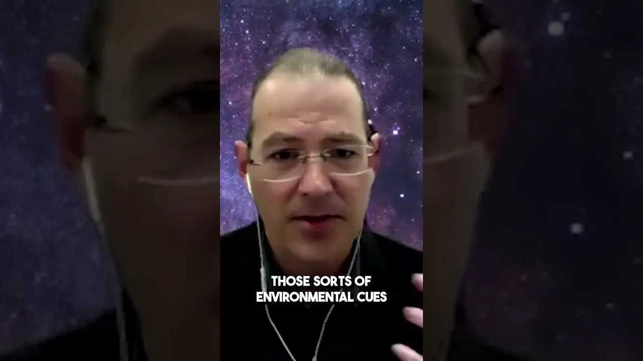 Charles Nichols - Psilocybin Helps You Become More Vigilant 1