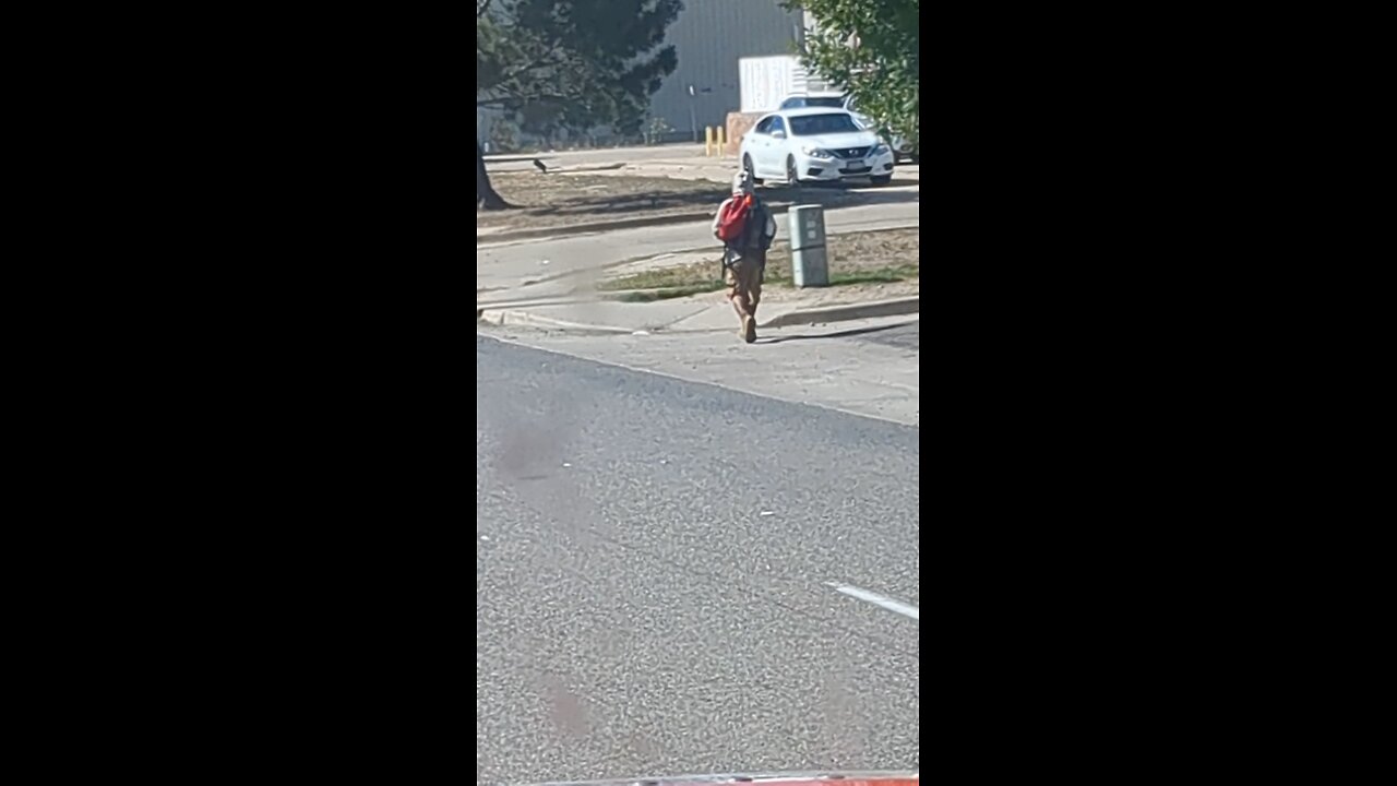 He checks White car for keys Colorado