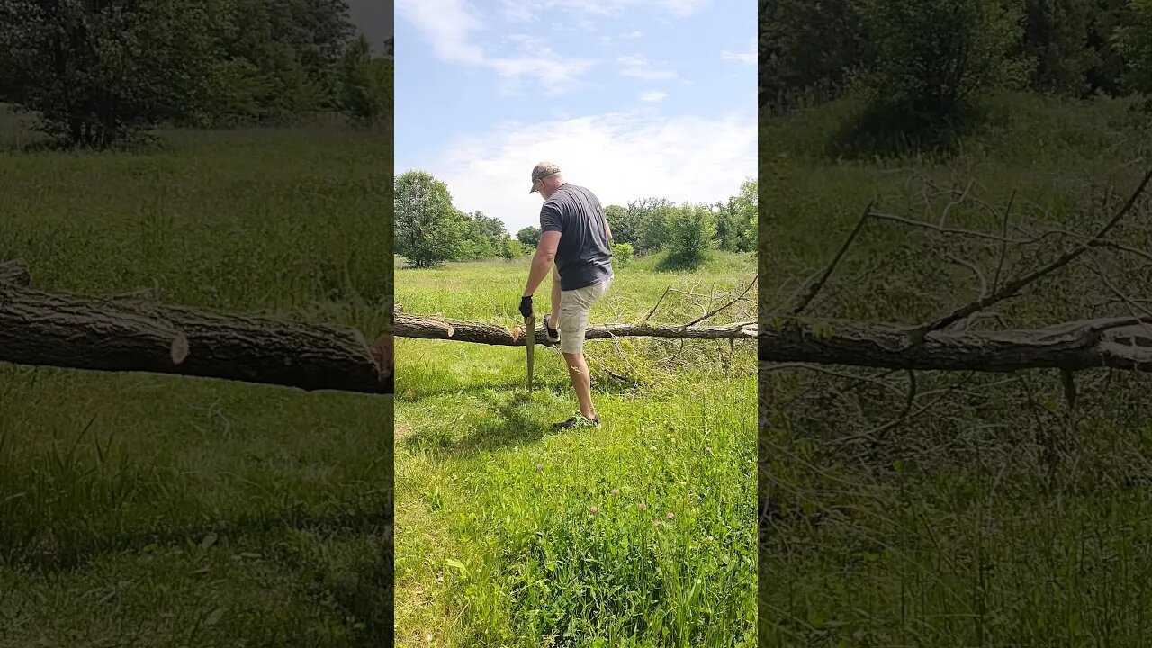 Made a new Turtle 🐢 Log for the Pond