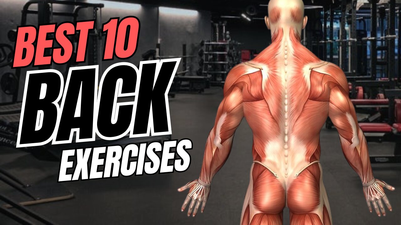 BEST 10 BACK Exercises For Growth! (V-Taper and Thickness)