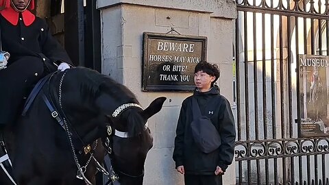 in awe of the guard #horseguardsparade