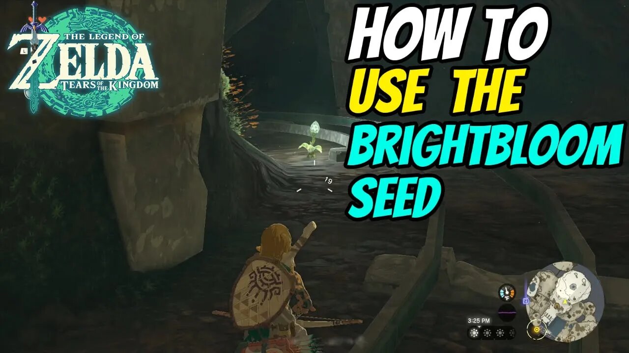 How to Use The BrightBloom Seed | The Legend of Zelda: Tears of the Kingdom