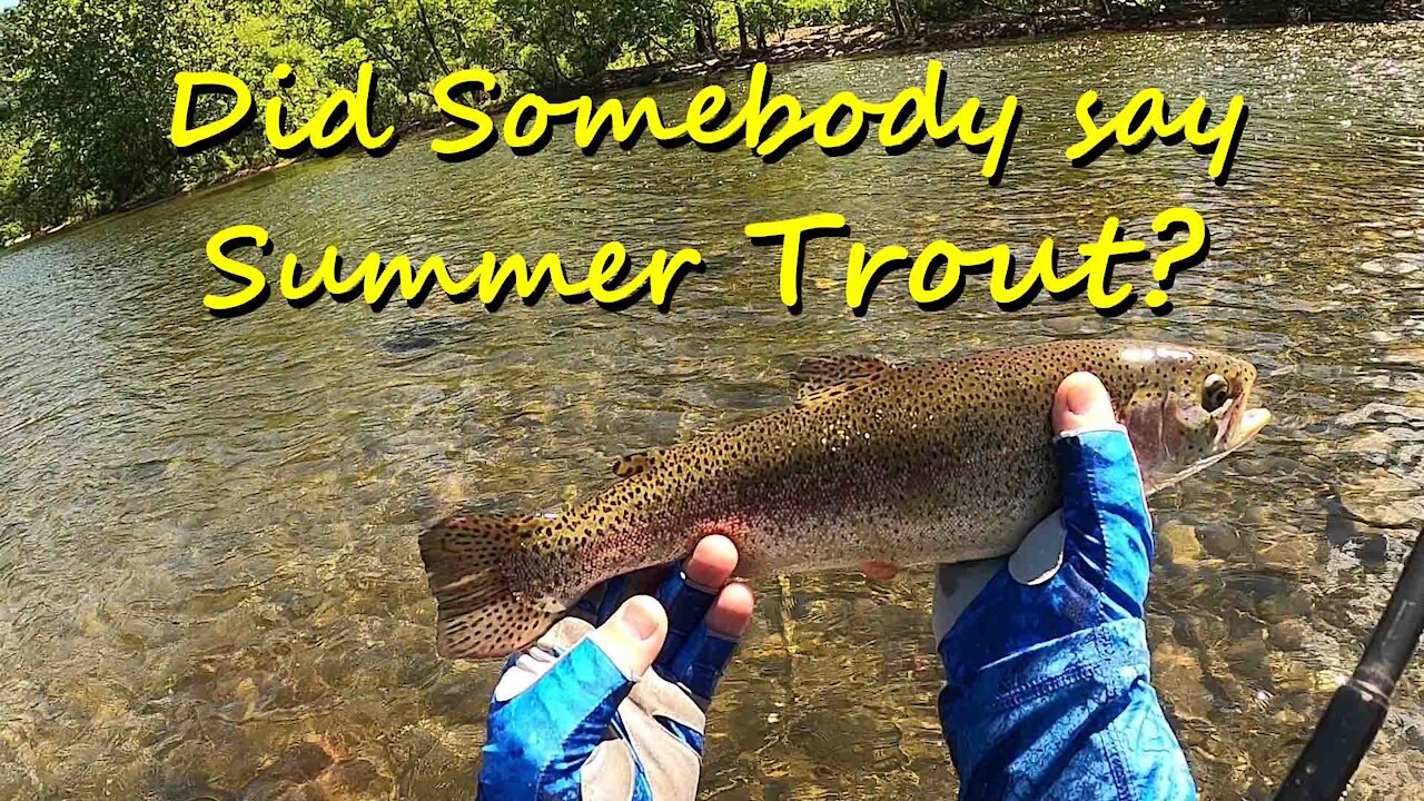 Did You Say Summer TROUT?