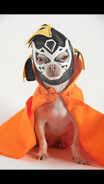 Paramore's Rumored WrestleMania Involvement Fact or Fiction