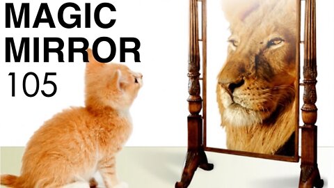 Magic Mirror 105 - The GATTACA Code