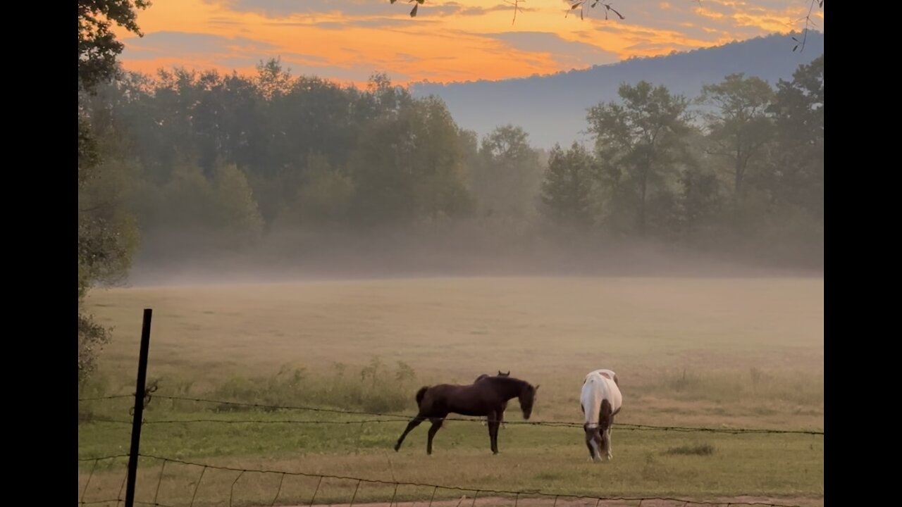 Beautiful Alabama farm wakes up to gorgeous sunrise!!!💥