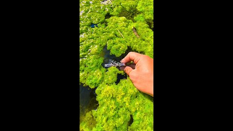 iPhone camera water