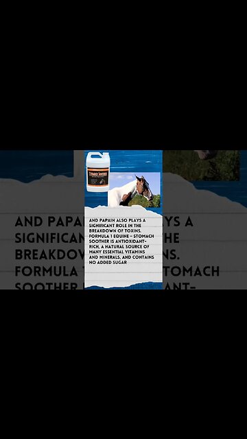 Got Horse's? Keep them healthy with #Noni #youtubeshorts