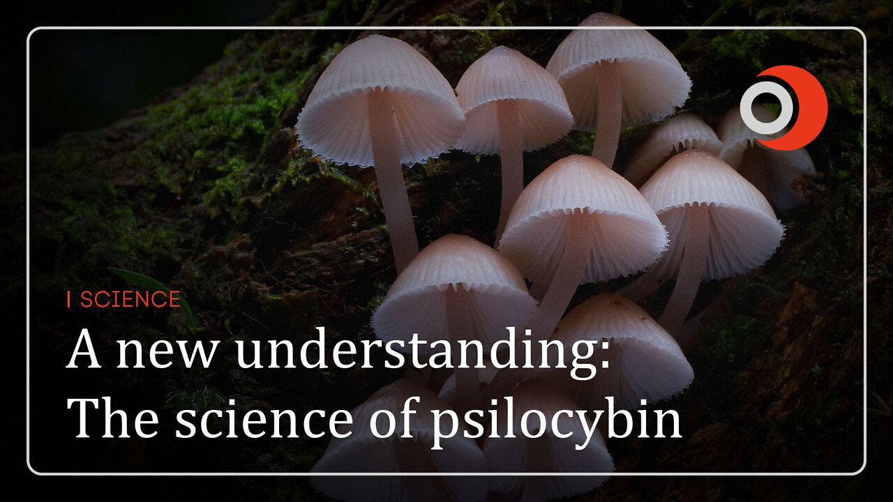 Science | A new understanding: The science of psilocybin