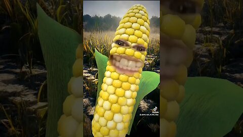 Ribbed For Your Pleasure Lady's #corn #ribbed