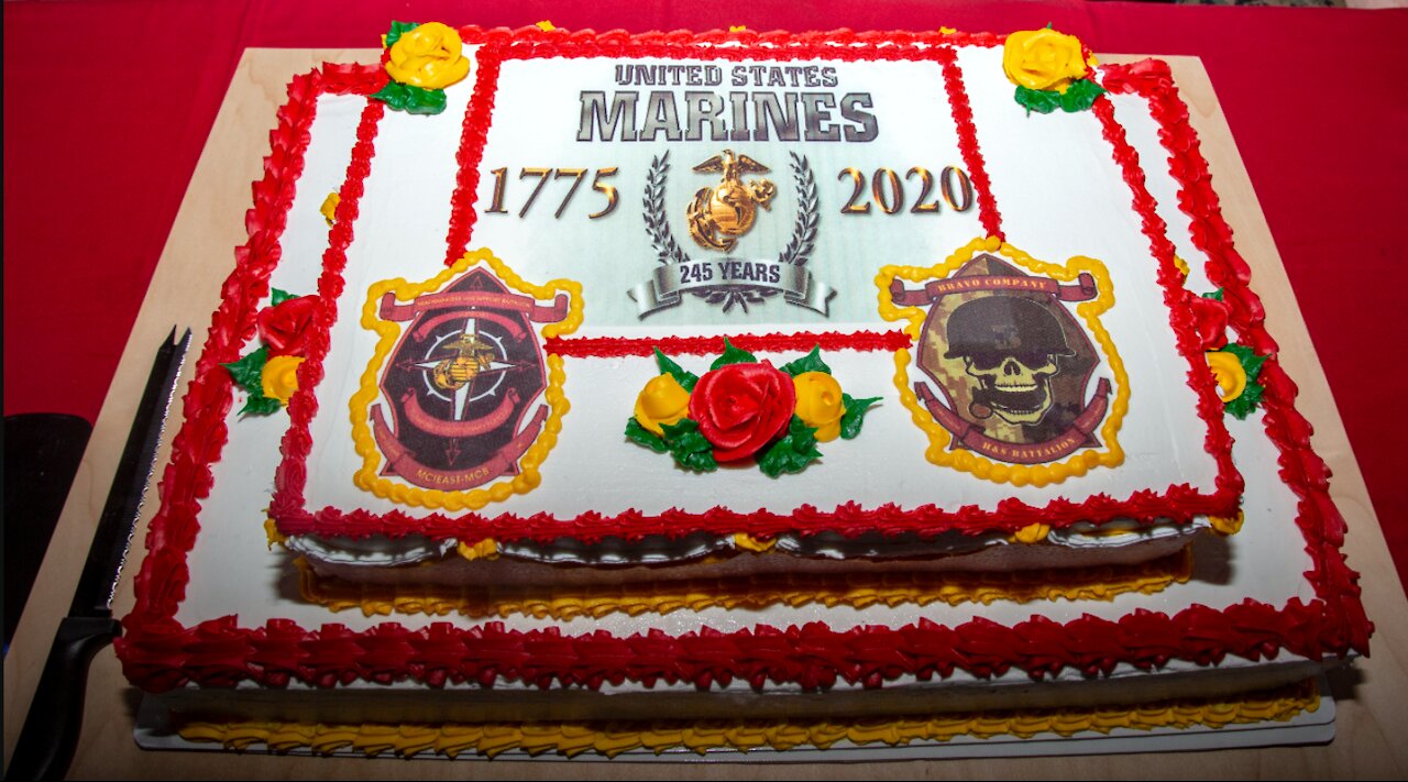 Marine Corps 245th Birthday & Veterans day Tribute Video