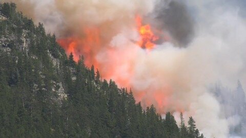 B.C wildfire evacuees can get lodging, food, clothing through the Red Cross