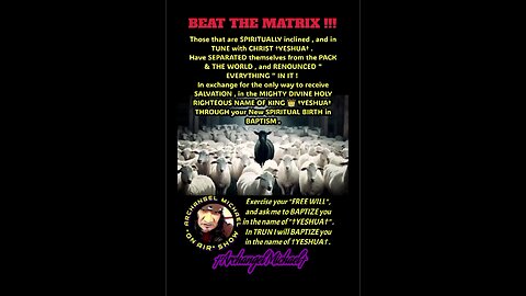 How To Beat The Matrix ....