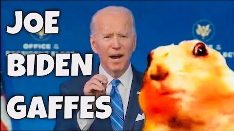 Final Biden Gaffes from the "Office of the President-Elect" (Dramatic Groundhog reacts!)