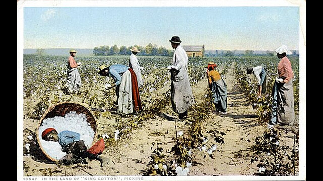 From the Cotton Field to Communism