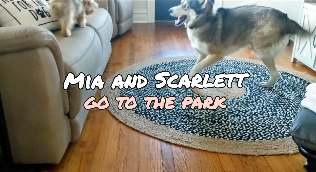 Mia and Scarlett Go to the Park