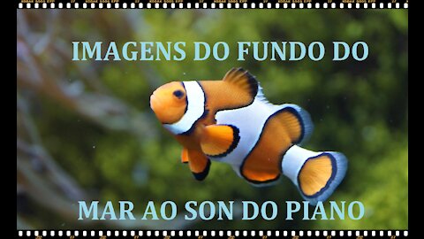 FUNDO DO MAR AO SON DE PIANO