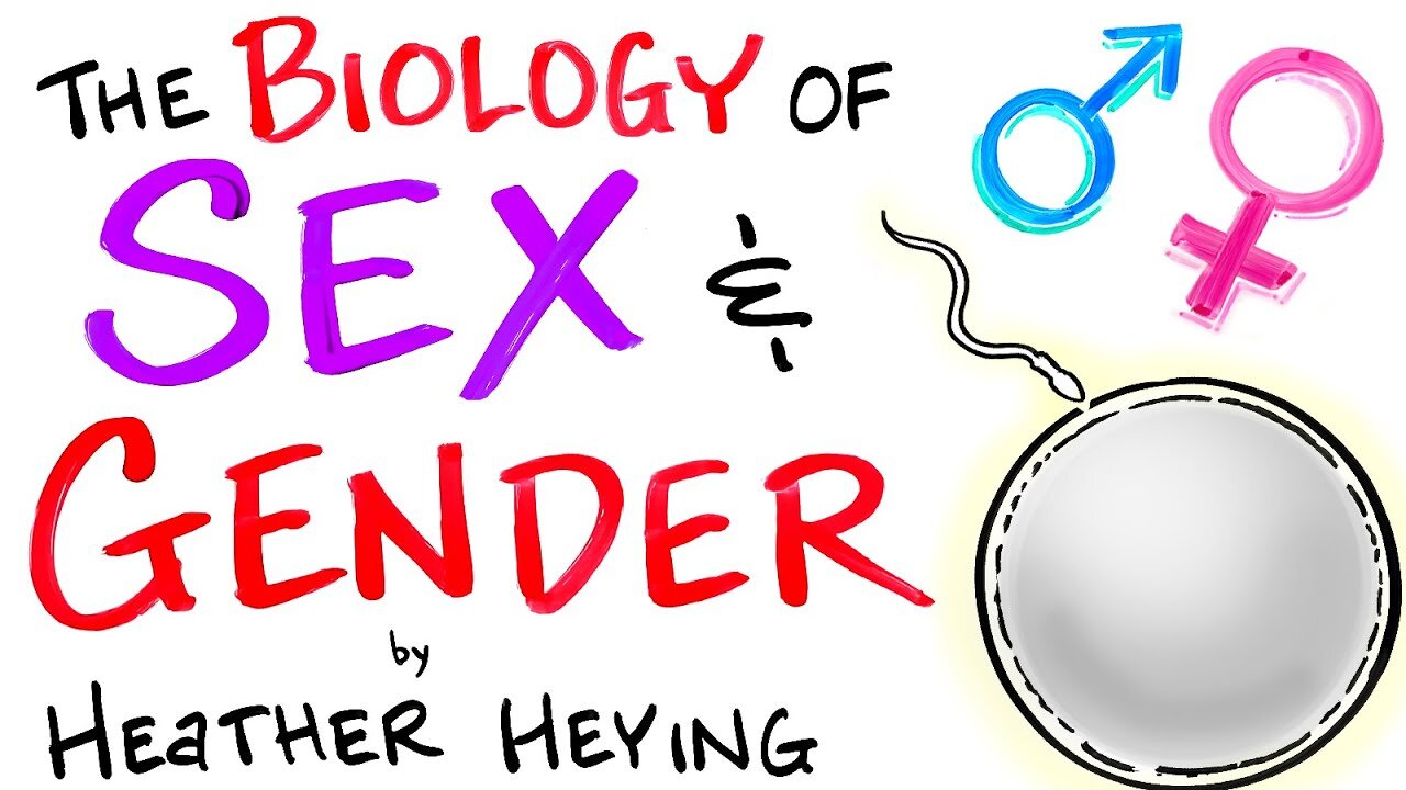 Sex & Gender: An Evolutionary Perspective - Dr Heather Heying (Bret Weinstein's Wife)