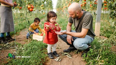 Farm | My Farm Life