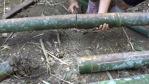 Build bamboo huts, build farms in the forest -6