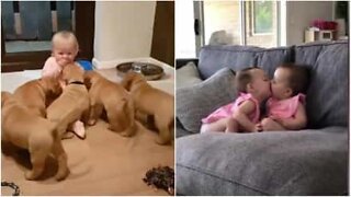 The most heartwarming baby moments of 2017