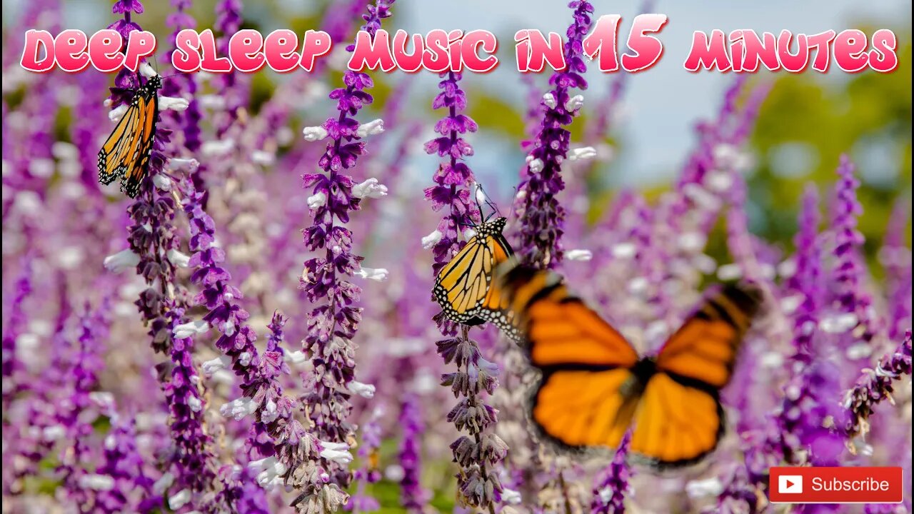 Beautiful Relaxing and Meditation Music for Stress Relief Peaceful Music Sleep Music with Waves