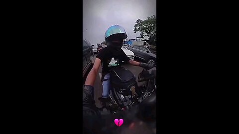 funny videos