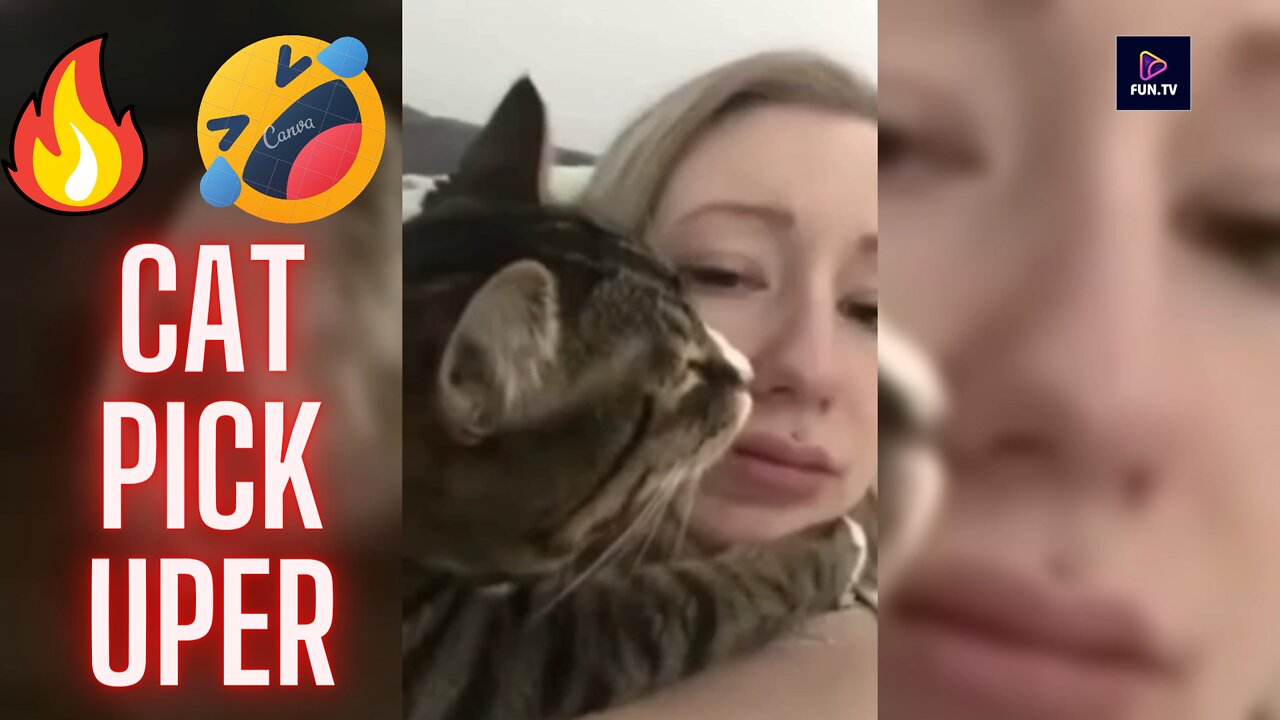 CAT HITS ON GIRL!! / Funny cat tries to hug and kiss a girl