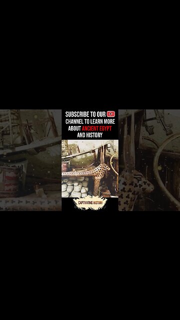 How Important Was the Discovery of King Tut's Tomb? #shorts