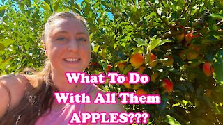 RECIPE Ideas? - Solo Apple Picking Adventure